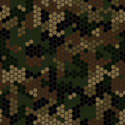 Abstract Camo Hexagonal Pattern vector image