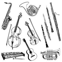 Collection of Classical Instruments Vector Image