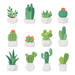 Cute Cartoon Cactus and Succulent Pots Vector Image