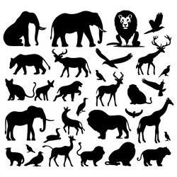 african wildlife silhouette animals collection Vector Image