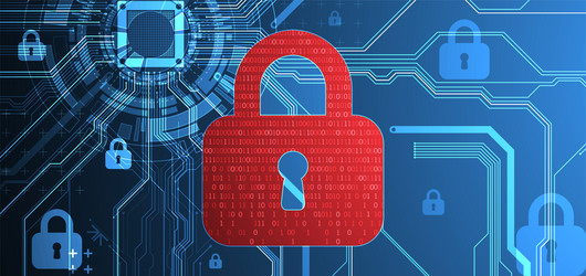 data security cyber or information privacy vector image