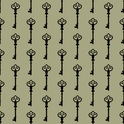 seamless pattern with keys vector image