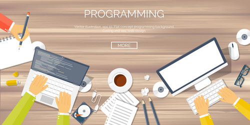 flat background coding vector