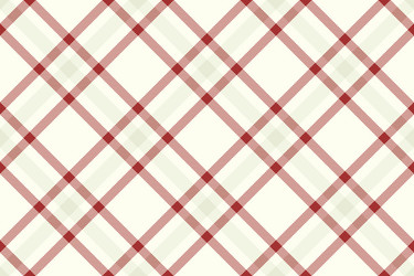 elegant red and cream diagonal plaid pattern vector image