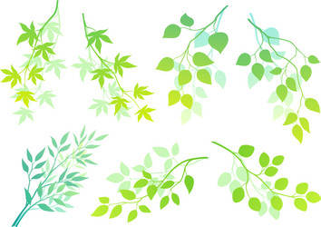 Spring fresh green leaves Royalty Free Vector Image