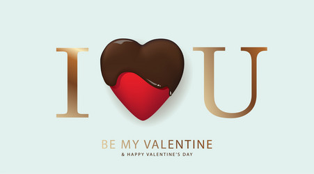 Happy valentines day i love you holiday gift vector