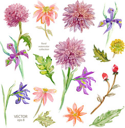 Spring Watercolor Floral Collection Vector Image