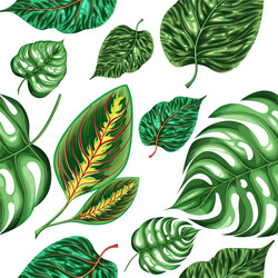 Tropical Monstera Leaf Pattern Vector Image