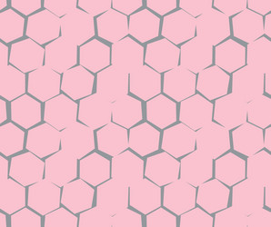 abstract pattern of unequal cracks hexagons vector image