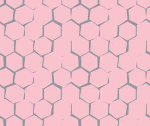 Abstract pattern of unequal cracks hexagons vector