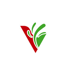 Letter v logo vector