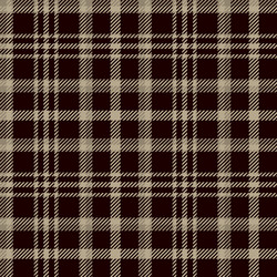 Tartan Plaid Pattern vector image