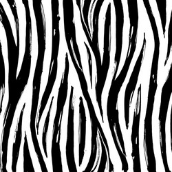 Zebra Print Background vector image