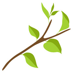 Branch with green leaves spring vector