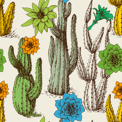 Hand drawn wild cacti plants pattern Royalty Free Vector