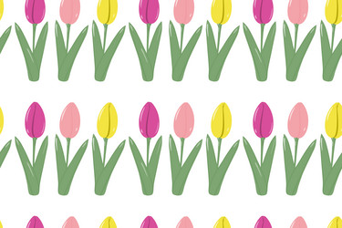abstract endless pattern of multi colored tulips vector image