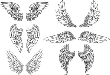 Heraldic Wing Symbol Set Vector Image