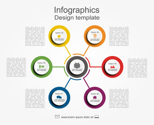 Infographic Template - Data Visualization vector image