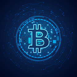 Digital Bitcoin Network vector image