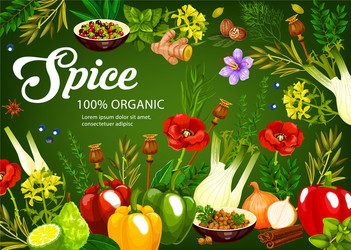 herbs spices seasonings vegetables condiments vector