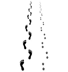 Man and Dog Footprints Vector Image