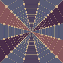 Complex Network Pattern vector image