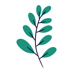 simple and stylized branch with multiple teal vector image