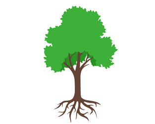 Root system a tree with leaves Royalty Free Vector Image