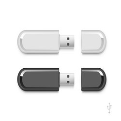 usb flash drive stick memory set isolated vector