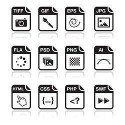 File Type Icons - Web & Digital vector image