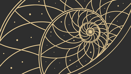nautilus shell with cosmic pattern golden spiral vector image
