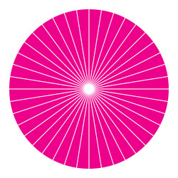 pie chart graph circle circular diagram from vector image