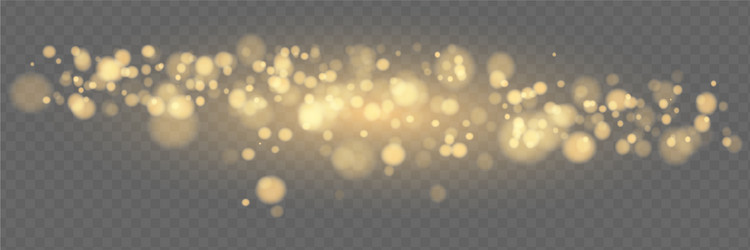 shining bokeh isolated on transparent background vector image