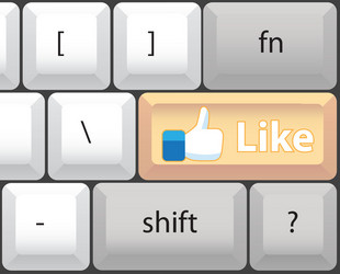 Computer Keyboard Like Key vector image