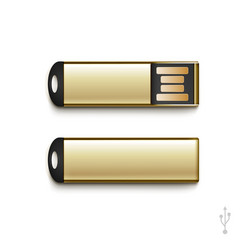 usb flash drive stick memory set isolated vector image