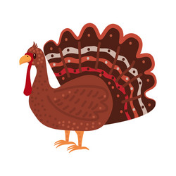 cute turkey bird animal trend cartoon style vector