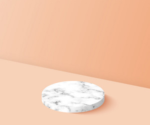 poduim backdrop with empty cube box for cosmetic vector image