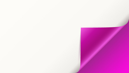 page curl with shadow on blank sheet of paper vector image