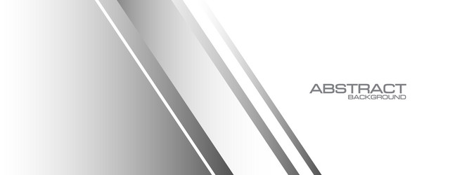 abstract grey line slash overlap on white vector image