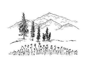 Hand drawn landscape with mountains trees vector