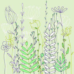 Background with drawing herbs and flowers vector