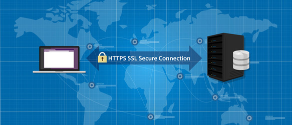 https ssl secure connection internet certificate vector image