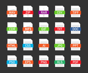 File Format Icons - Document Types vector image