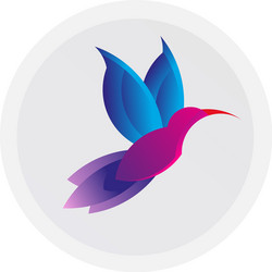 Colorful hummingbird sign simple colibri logo vector