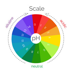 Vertical Ph Scale For Measuring Acid Alkaline Vector Image