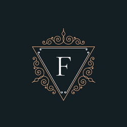 Vintage v letter logo with premium decoration Vector Image