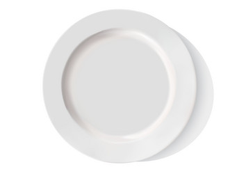 Single White Porcelain Plate vector image