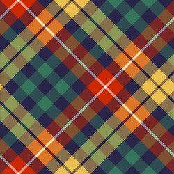 colored check diagonal seamless fabric texture vector image