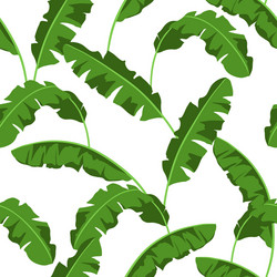 seamless pattern with palm leaves Vector Image