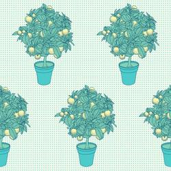 seamless pattern of small citrus tree in a pot vector image